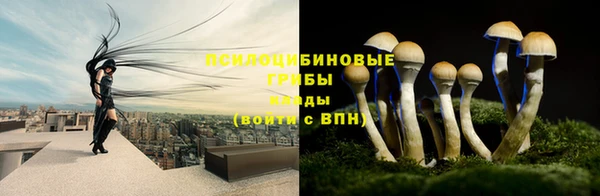 бошки Арсеньев