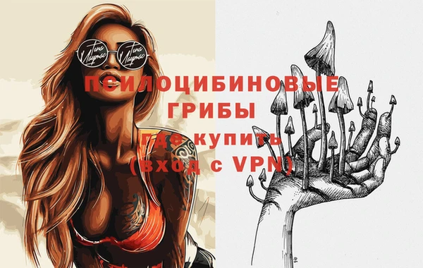 бошки Арсеньев