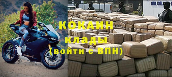 дживик Аркадак